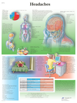 All Products - Headaches