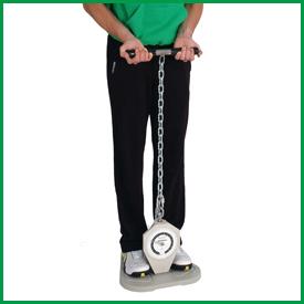 All Products - Back-leg-chest Dynamometer