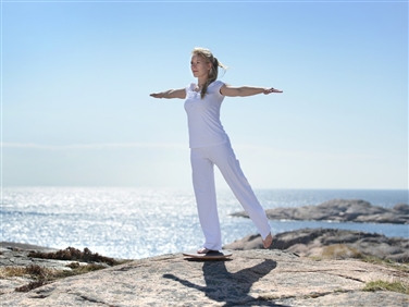 Sissel - Balance board dynamic hout